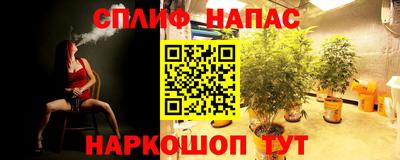 герыч Краснодар