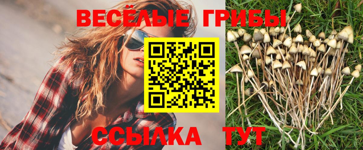 Галлюциногенные грибы прущие грибы Кириши