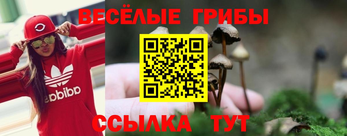 Псилоцибиновые грибы GOLDEN TEACHER  Вход с VPN  Галлюциногенные грибы мухоморы  Кириши 
